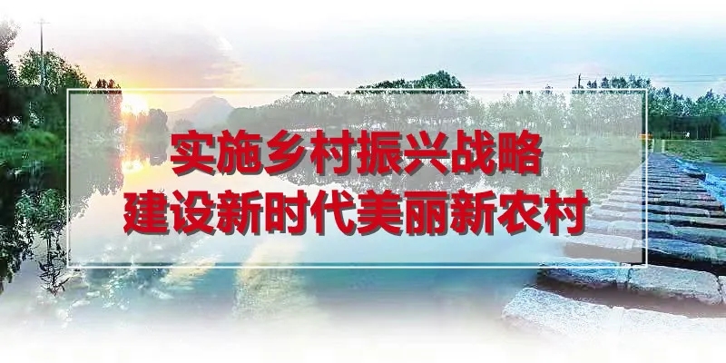 2.webp (3).jpg