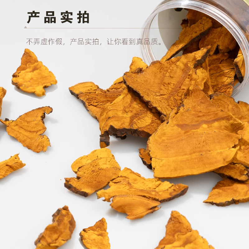 东北桑黄片