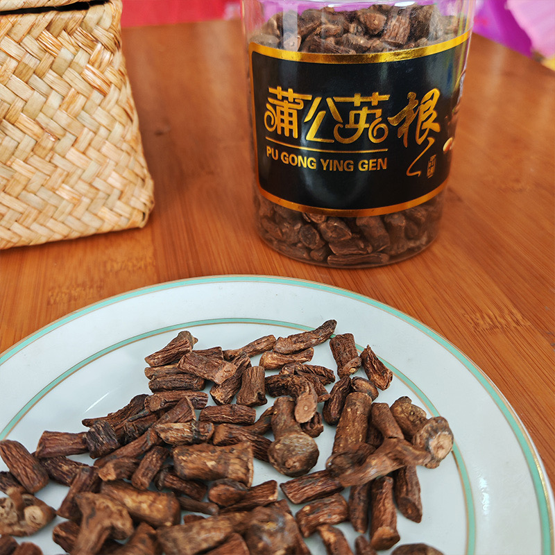 东北蒲公英根